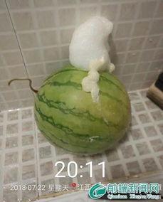 绿泡泡吃瓜,揭秘娱乐圈幕后故事  第3张